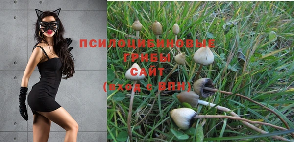 СК Переславль-Залесский