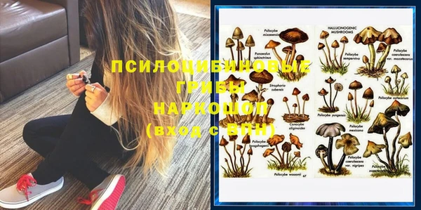 MDMA Пересвет