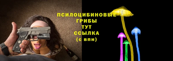 СК Переславль-Залесский